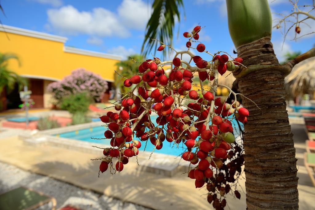 Apartamento Djambo (Adults Only) Playa Exterior foto